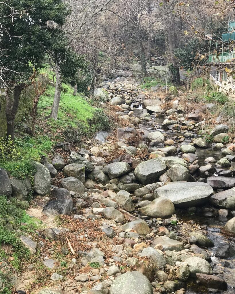 Piedralaves. Sierra de Gredos